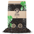 Sybotanica Aroid Mix (Monstera e.t.c.)
