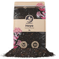 Sybotanica Hoya Mix