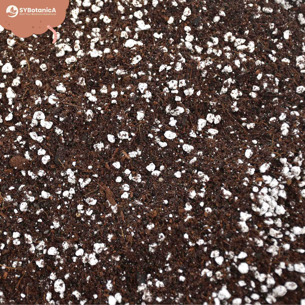 Sybotanica Universal Mix